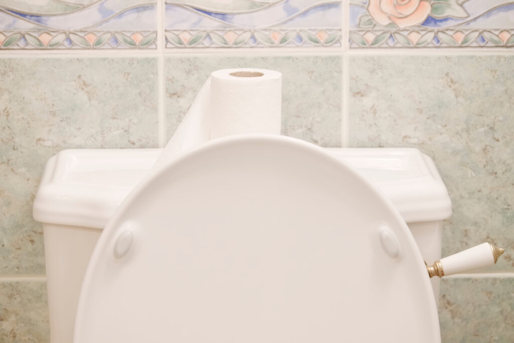 toilet keeps clogging